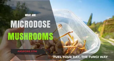 Microdose Mushrooms: A Beginner's Guide to Magic