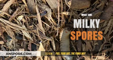 Understanding Milky Spores: A Natural Solution for Grub Control in Lawns