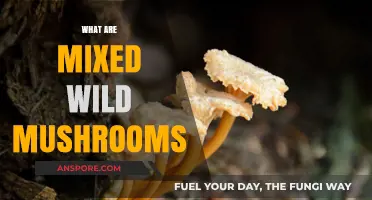 Wild Mushroom Mix: Nature's Superfood Variety