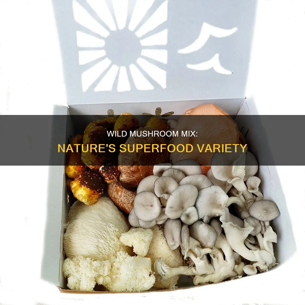 what are mixed wild mushrooms