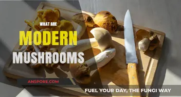 Mushroom Evolution: Modern Mushrooms Explained