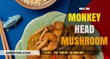 Explore the Magical Monkey Head Mushrooms