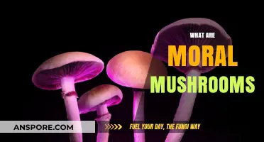 Mushroom Morality: Unveiling the Ethics of Fungi
