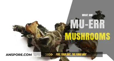 The Ultimate Guide to Mu-Err Mushrooms