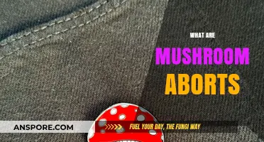 Mushroom Aborts: What Are They and Why Do They Happen?