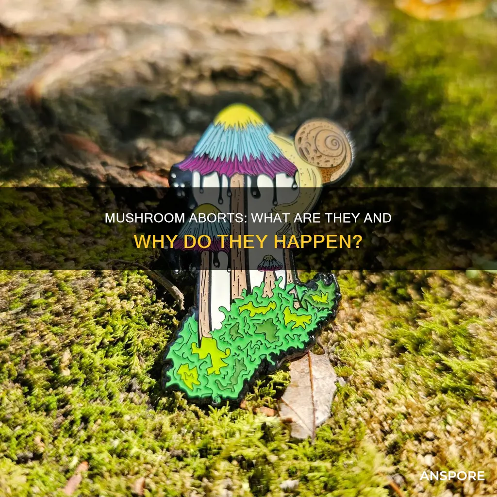what are mushroom aborts