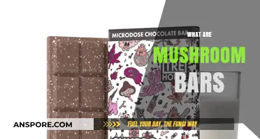 Mushroom Bars: A New Way to Trip