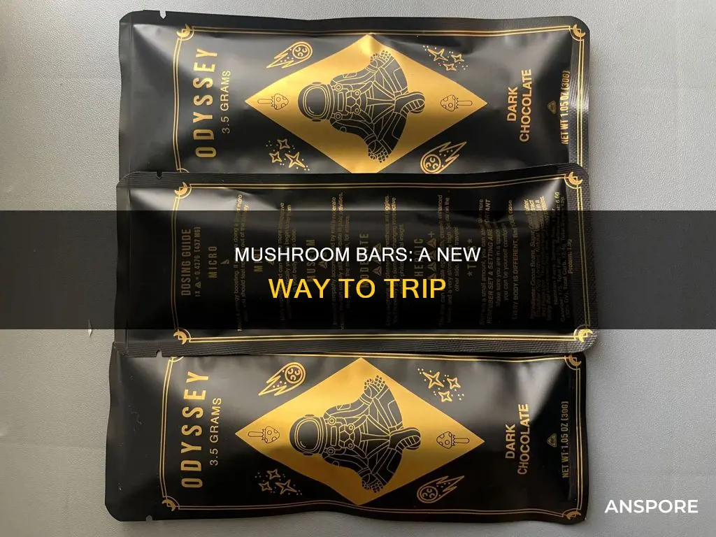 what are mushroom bars