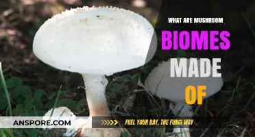 Exploring Mushroom Biomes: Composition, Structure, and Unique Features Revealed