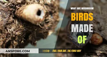 Unveiling the Secrets: What Are Mushroom Birds Made Of?
