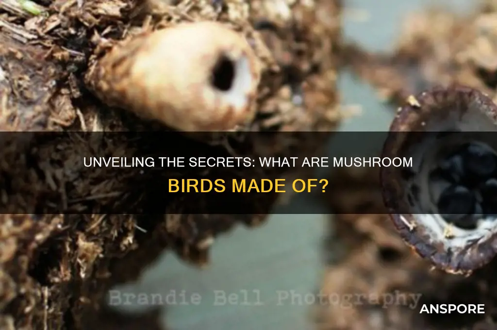 what are mushroom birds made of