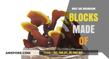 Understanding Mushroom Blocks: Materials and Composition Explained
