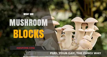 Mushroom Blocks: An Innovative Way to Grow Mushrooms