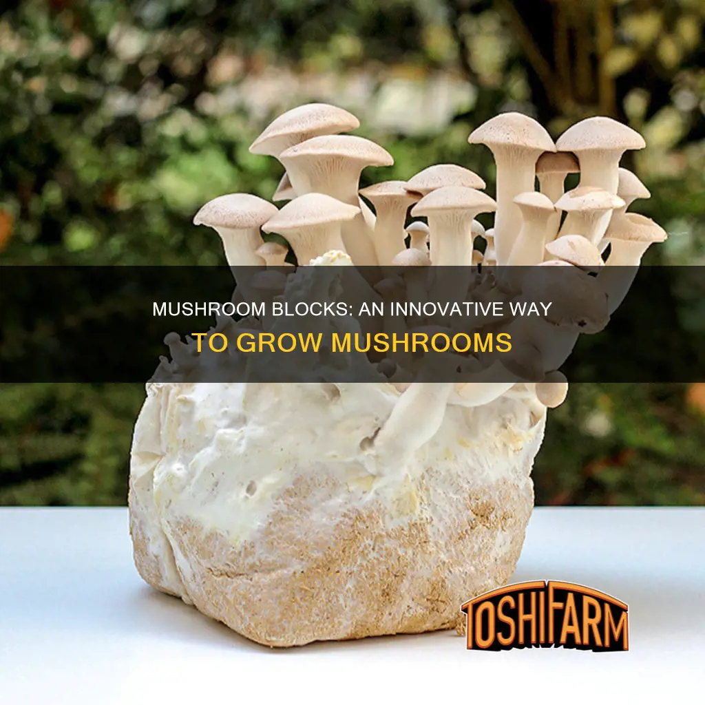 what are mushroom blocks