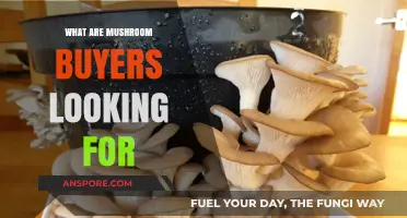 Understanding Mushroom Buyers: Key Preferences and Trends in the Market