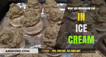 Mushroom Cap Ice Cream: A Unique Flavor Adventure Explained
