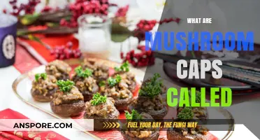 Mushroom Caps: What's in a Name?