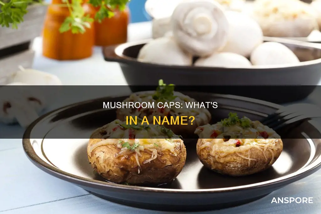 what are mushroom caps called
