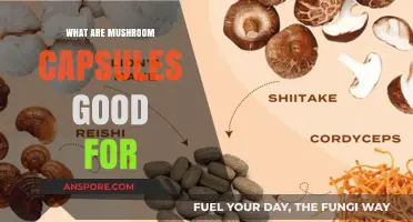 Mushroom Capsules Benefits: Boosting Health, Immunity, and Wellness Naturally