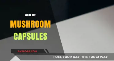 Mushroom Capsules: Nature's Superfood in a Pill