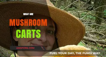 Mushroom Carts: A Guide to Magic Mushroom Vaping