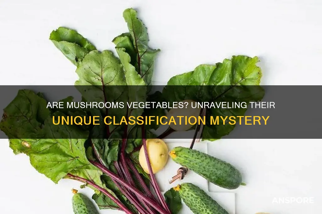 what are mushroom classfied as vegetable