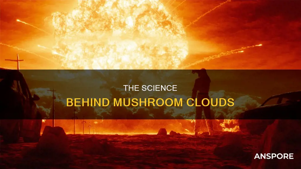 what are mushroom clouds