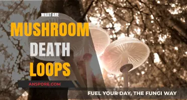 Mushroom Death Loops: Nature's Toxic Traps