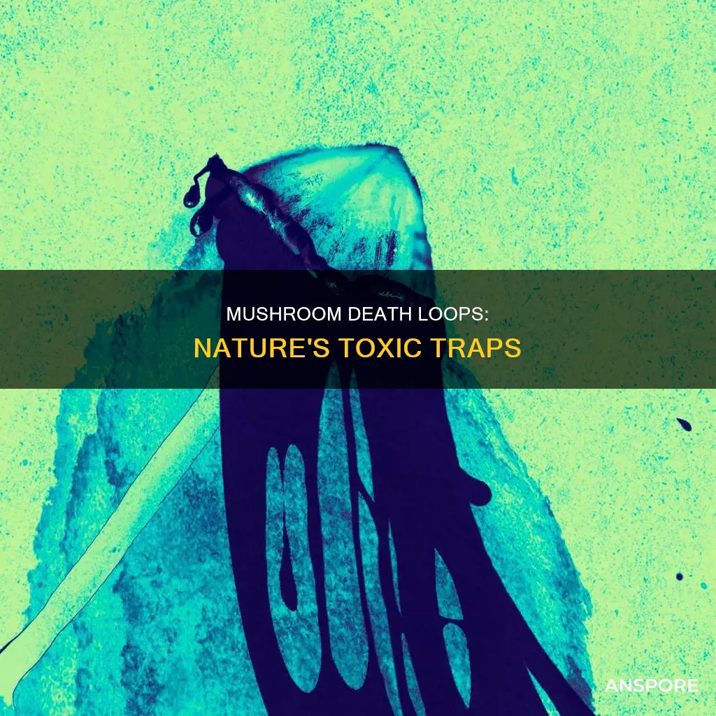 what are mushroom death loops