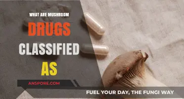 Understanding Mushroom Drugs: Classification, Effects, and Legal Status Explained