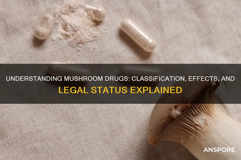 what are mushroom drugs classified as