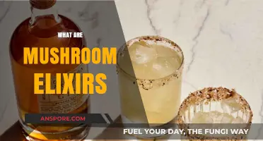 Mushroom Elixirs: Superfood Tonics for Health and Wellness