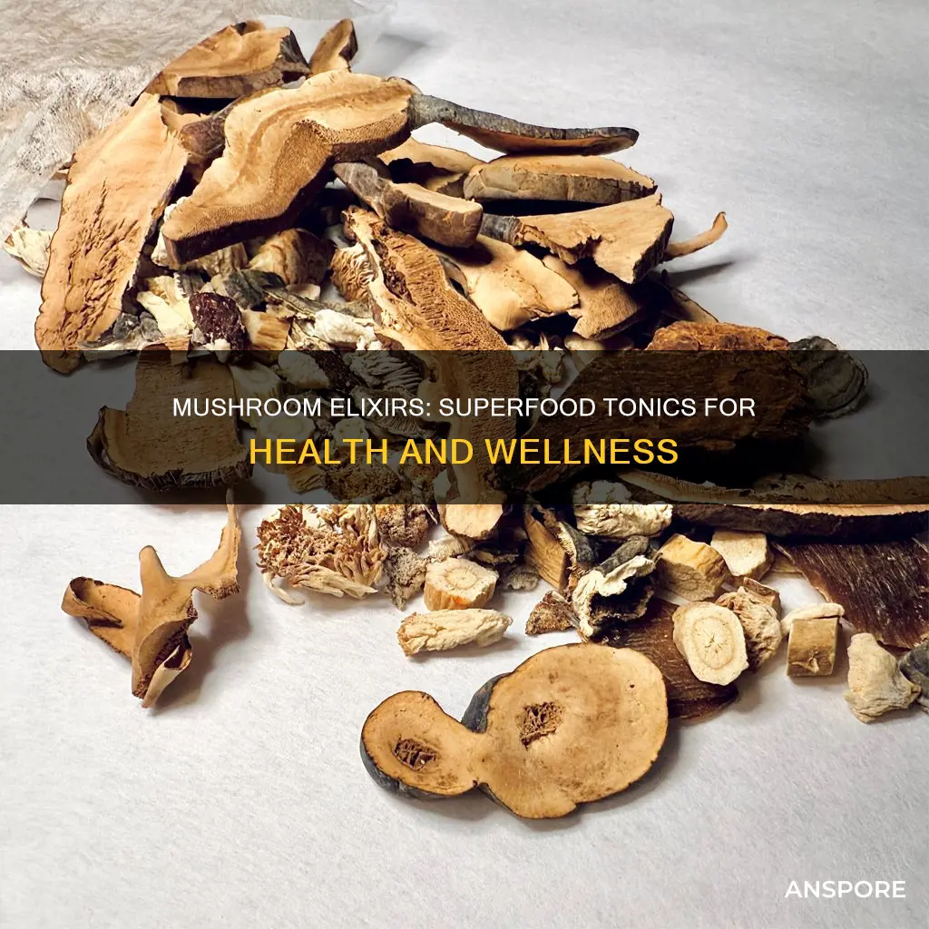 what are mushroom elixirs