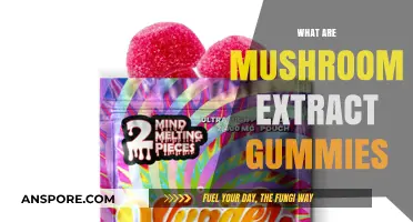 Mushroom Extract Gummies: Nature's Superfood Treat