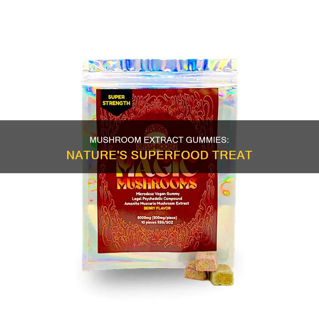 what are mushroom extract gummies