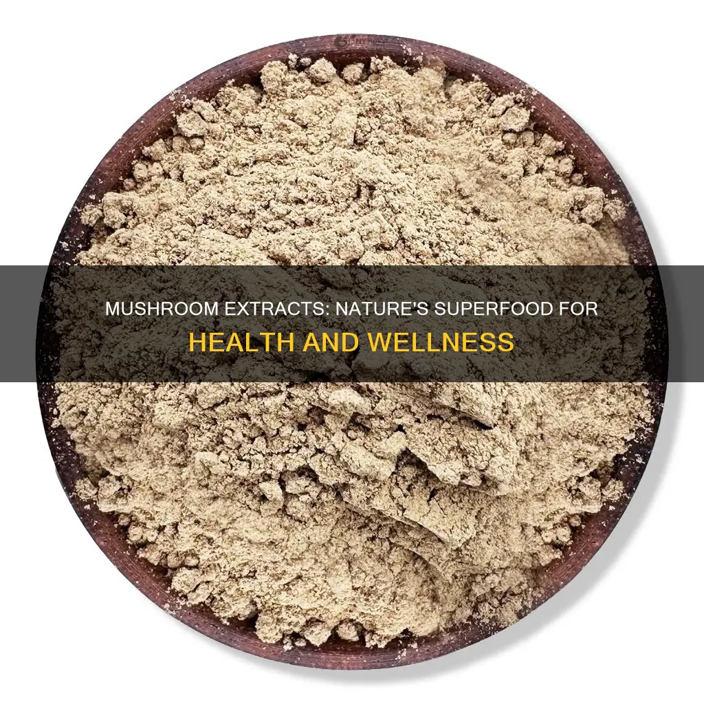 what are mushroom extractions