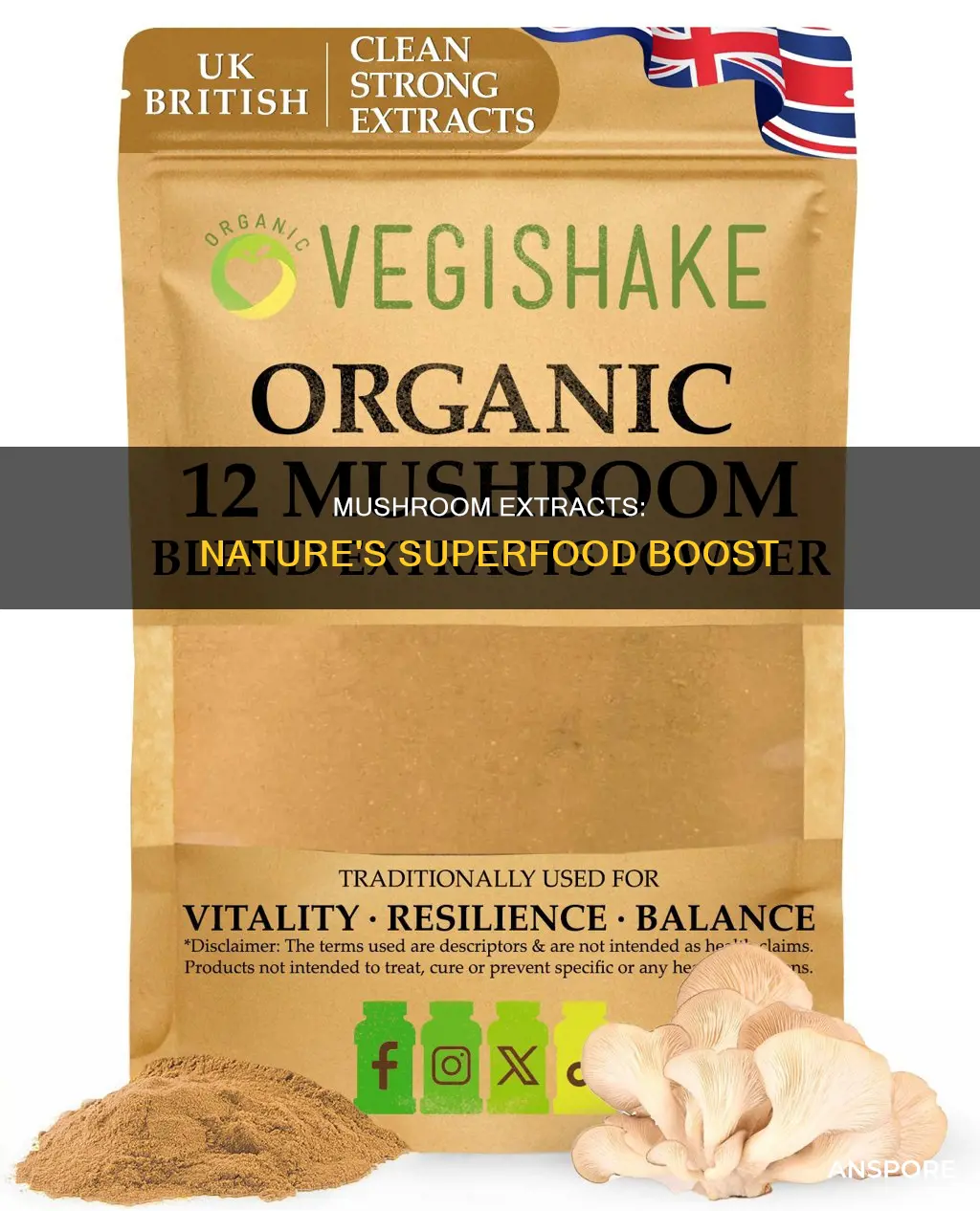 what are mushroom extracts