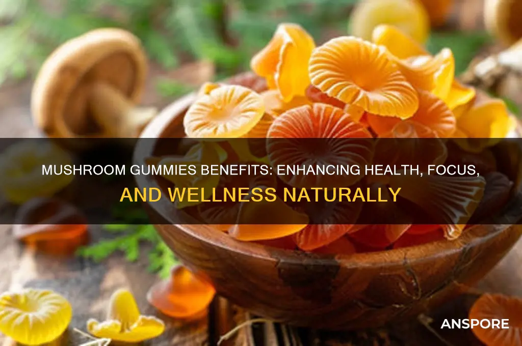 what are mushroom gummies good for
