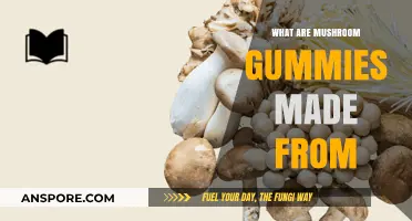 Unveiling Mushroom Gummies: Ingredients, Benefits, and How They're Made