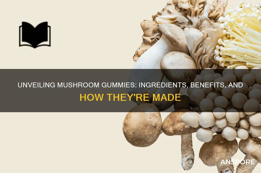 what are mushroom gummies made from