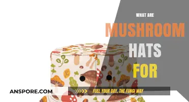 Mushroom Hats: A Guide to Their Purpose and Use
