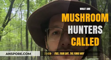 Mushroom Hunters: What's in a Name?