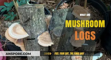 Mushroom Logs: Nature's Way to Grow Mushrooms