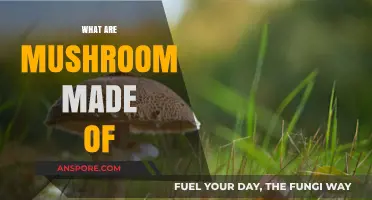 Mushrooms: A Complex Composition of Organic Matter