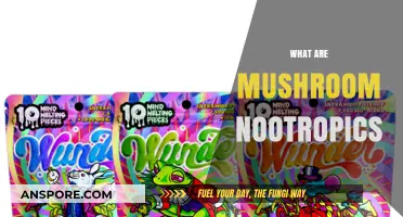 Mushroom Nootropics: Nature's Brain Boosting Superpowers