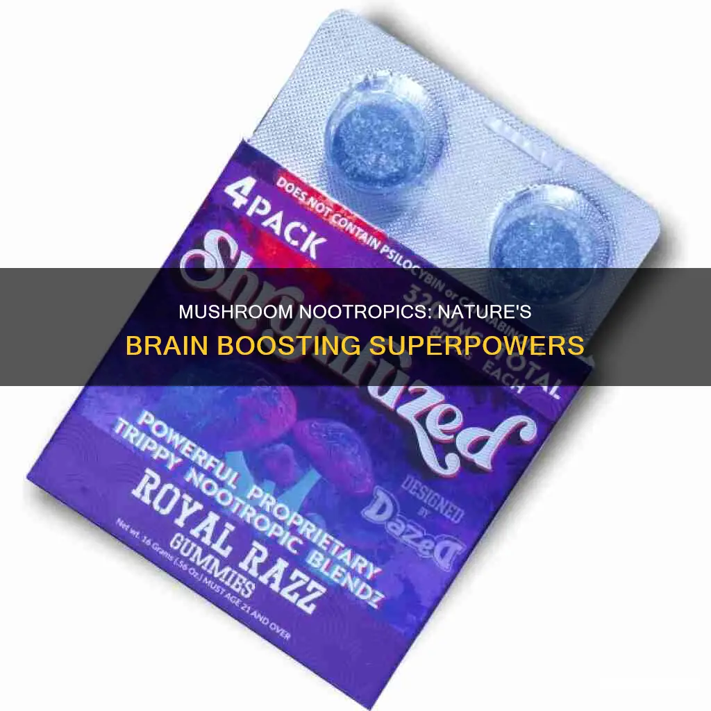 what are mushroom nootropics