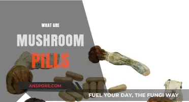 Mushroom Pills: Nature's Superfood Capsules