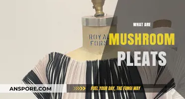 Explore the Magic of Mushroom Pleats