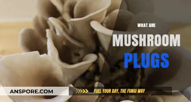 Mushroom Plugs: The Ultimate Guide to Growing Mushrooms