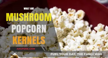 Mushroom Popcorn Kernels: What Are They?